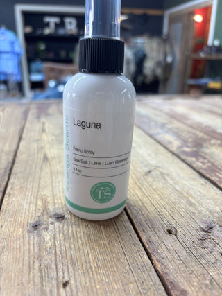 TS Fabric Spray 4oz