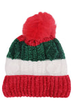 Stripe Chenille Knitted Fleece Lined Beanie: ASSORTED / ONE SIZE